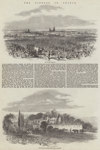 De Wijnoogst in Frankrijk door Samuel Read